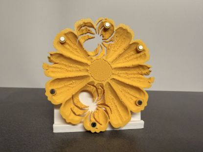 Bild von Halloween Kürbise