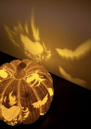 Bild von Halloween Kürbise