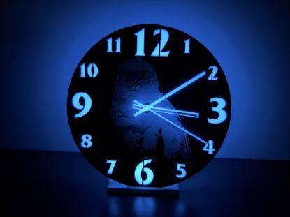 Bild von Schneeeule Hedwig