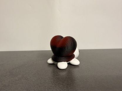 Bild von Schildkröte mit Herz