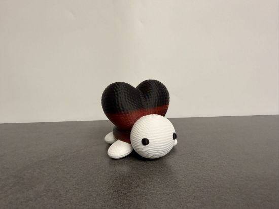 Bild von Schildkröte mit Herz