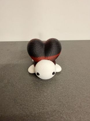 Bild von Schildkröte mit Herz