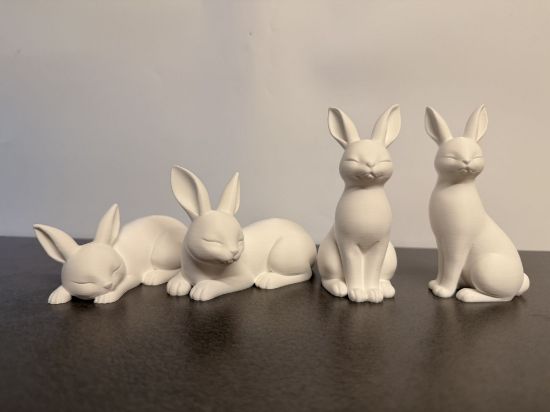 Bild von Süßehasen