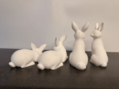 Bild von Süßehasen