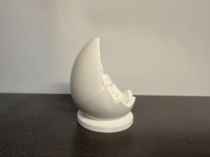 Bild von Schalenhase