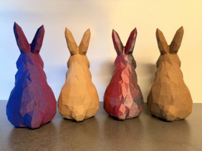 Bild von Polygon Hasen