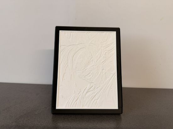 Bild von Erwachte Wut